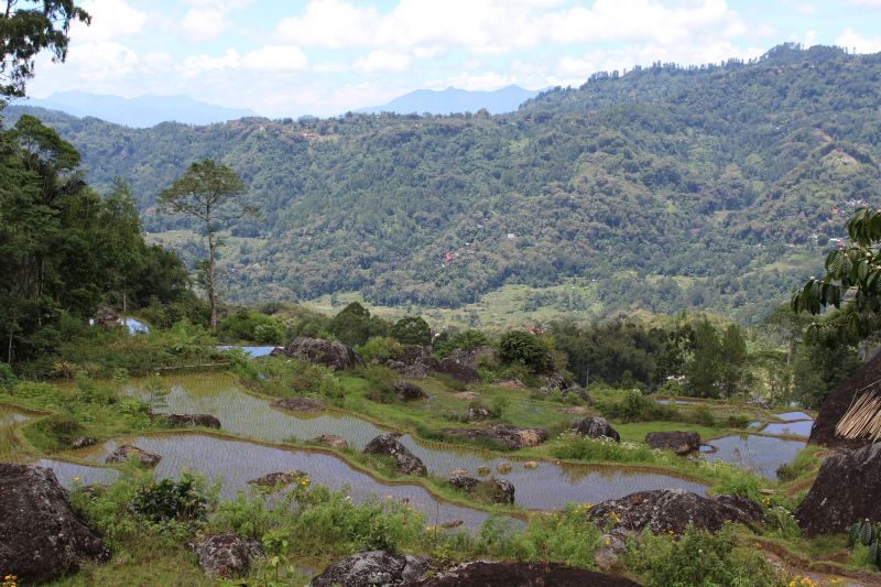 Paysage du pays Toraja
