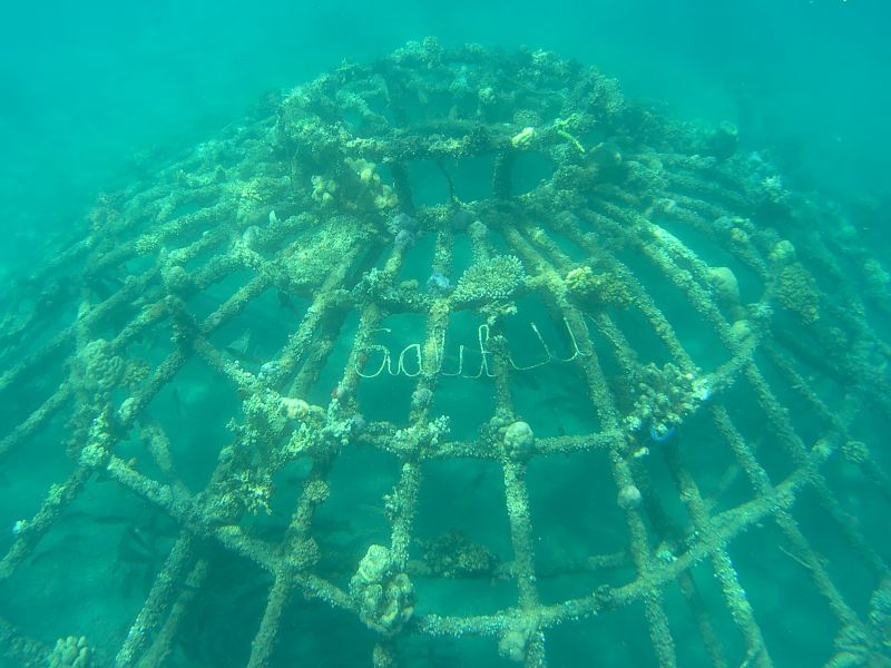 Structure métalique pour revitaliser le corail