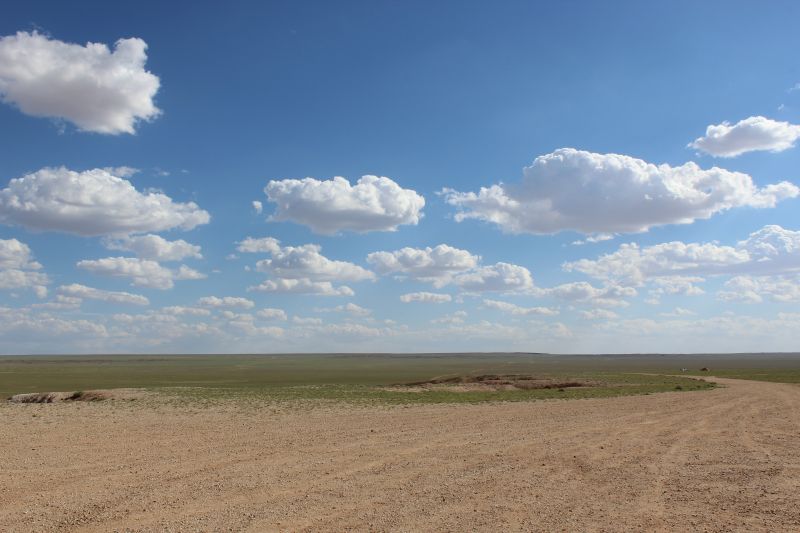 Etendue de la steppe mongole