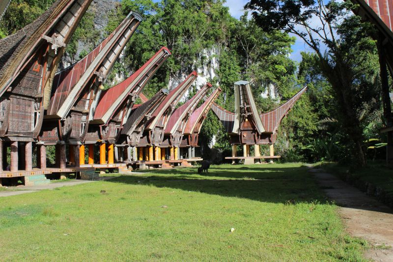 Maisons du pays Toraja